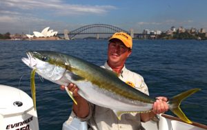 How to catch Sydney harbour kingfish - Fishabout Fishing Charters