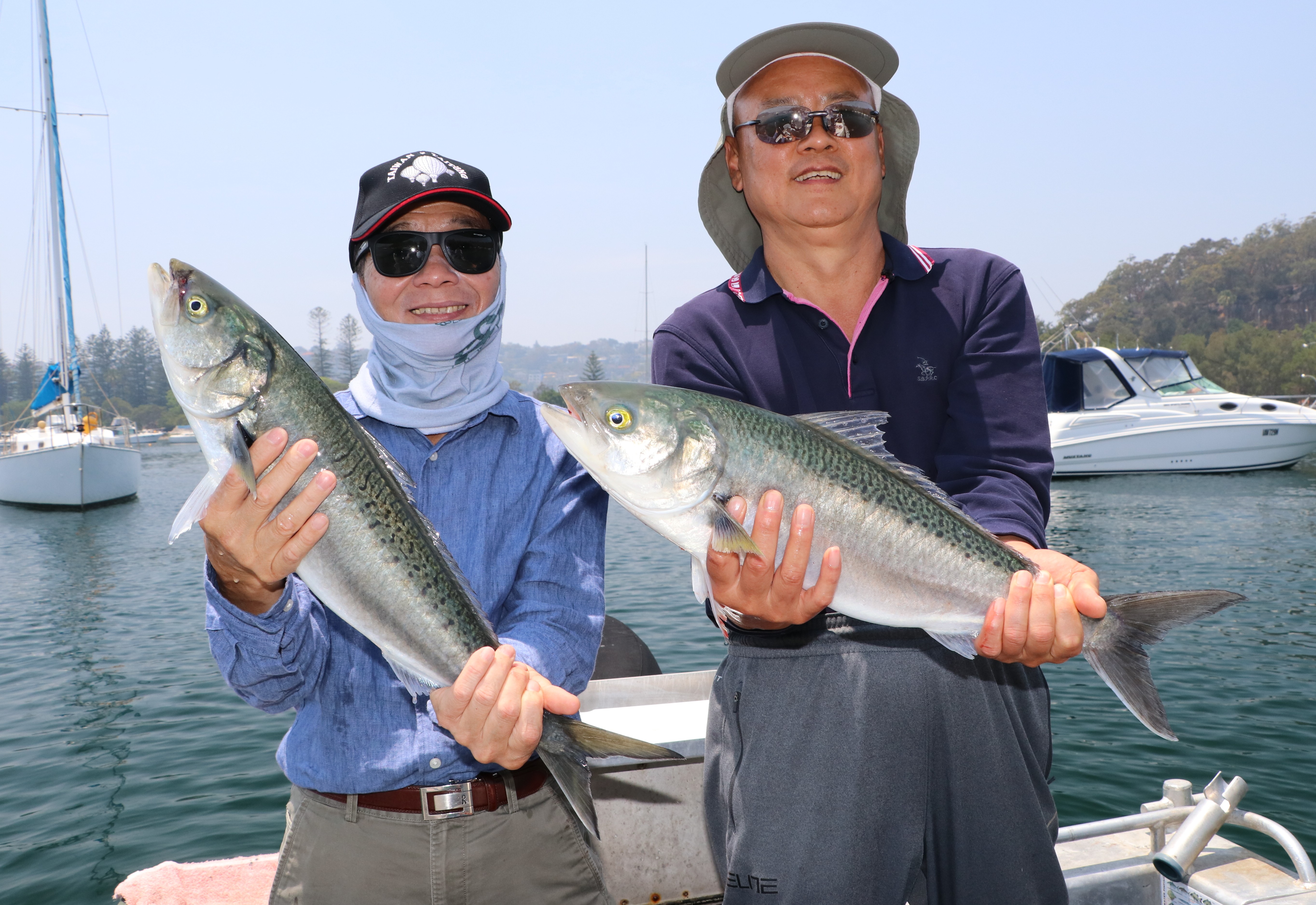 Monthly Report - May 18 - Fishabout Fishing Charters Sydney